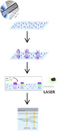 sequencing diagram